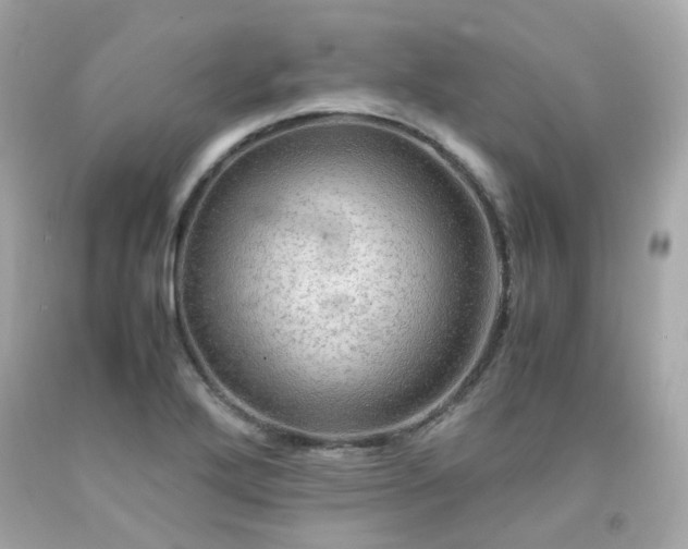 X0000091941272200709121612