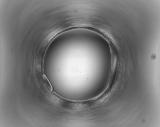 X0000091941273200709121612