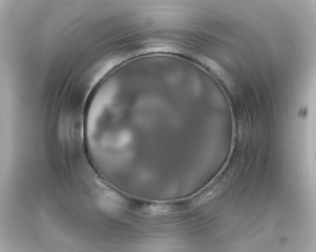 X0000091941274200709121612