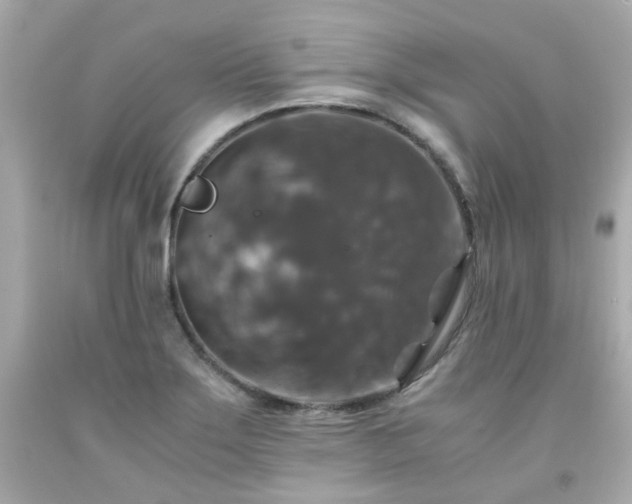 X0000091941275200709121612