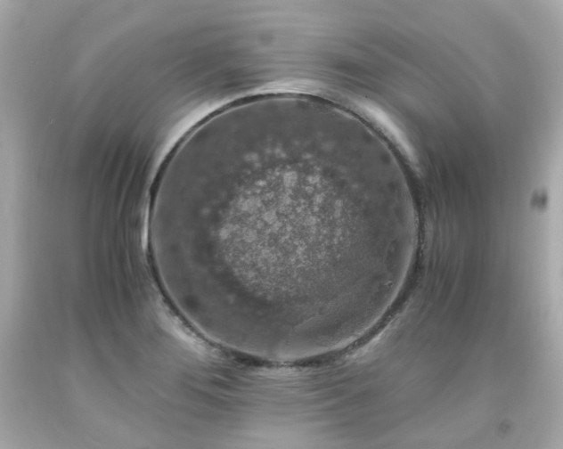 X0000091941276200709121612