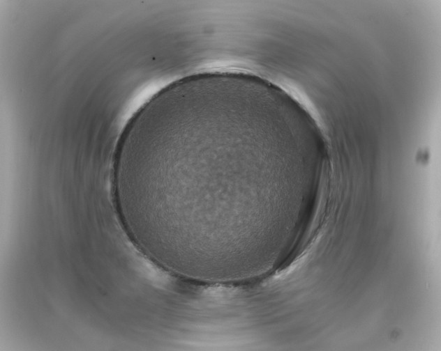 X0000091941277200709121612