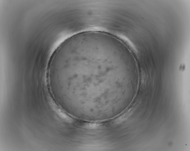 X0000091941278200709121612