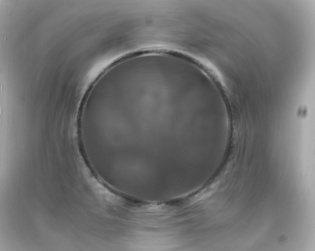 X0000091941279200709121612