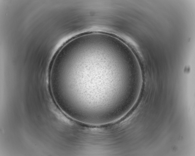 X0000091941280200709121612