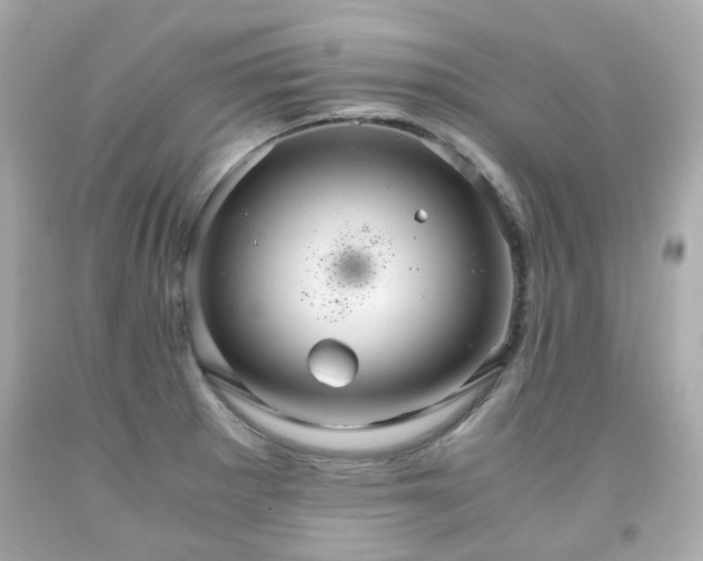 X0000091941281200709121612