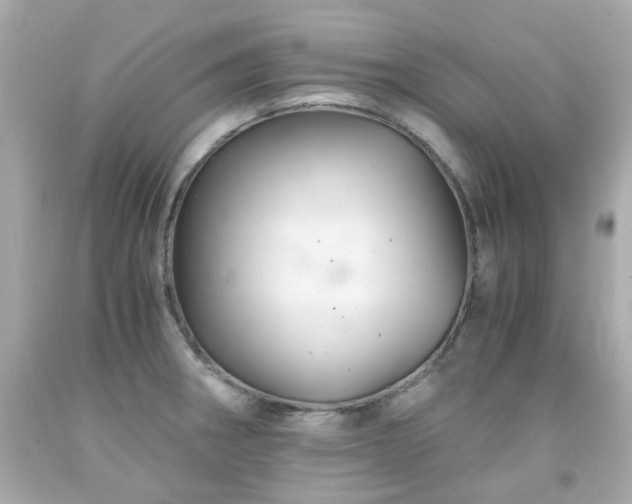 X0000091941282200709121612