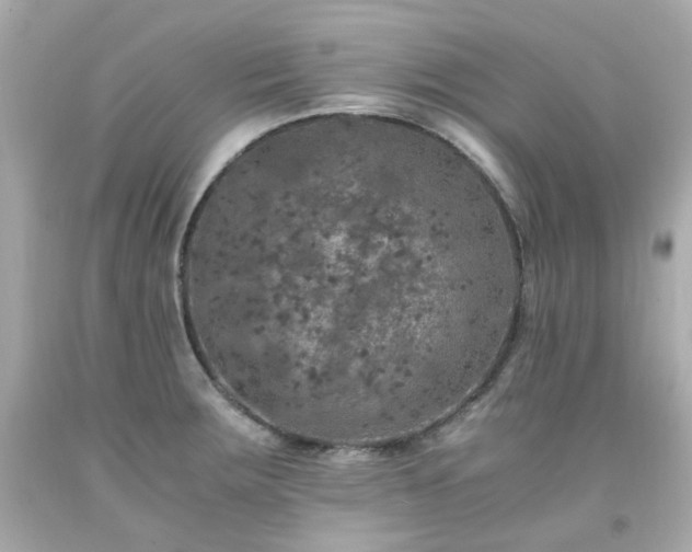 X0000091941283200709121612