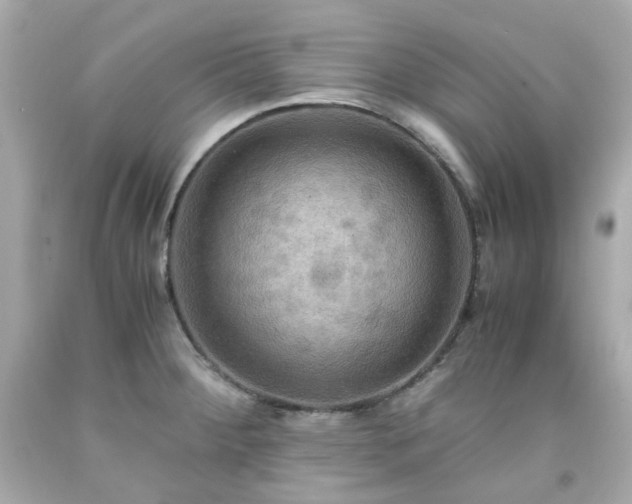 X0000091941284200709121612