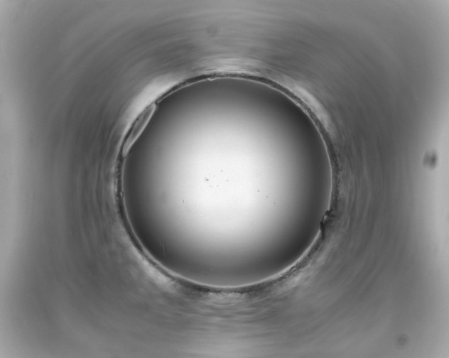 X0000091941285200709121611