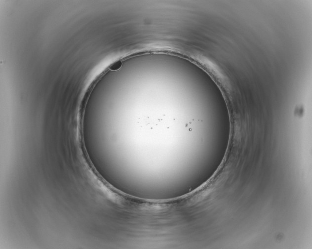 X0000091941286200709121611