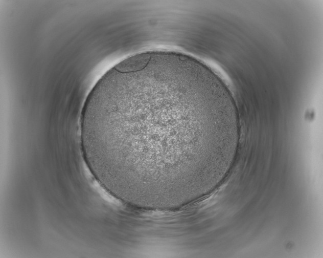 X0000091941287200709121611