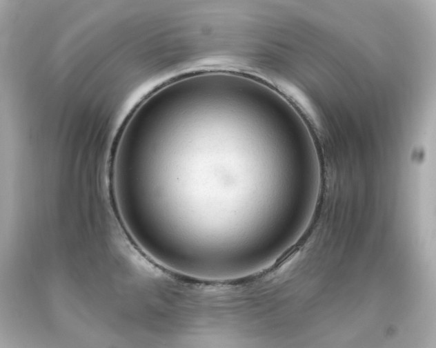 X0000091941288200709121611