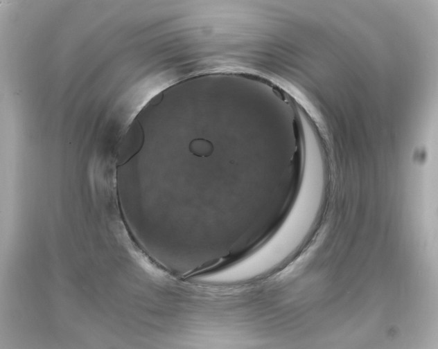 X0000091941289200709121611