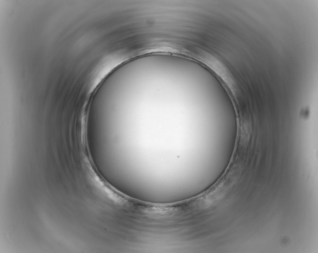 X0000091941290200709121611