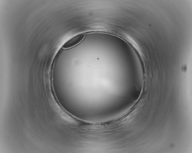 X0000091941291200709121611