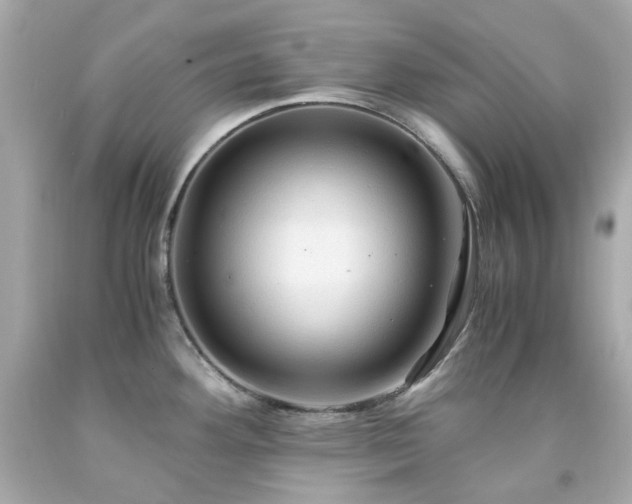 X0000091941292200709121611