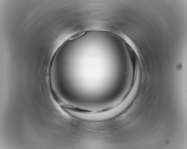 X0000091941293200709121611