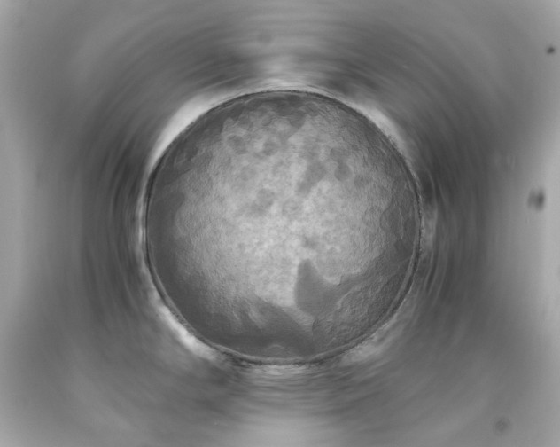 X0000091941294200709121611