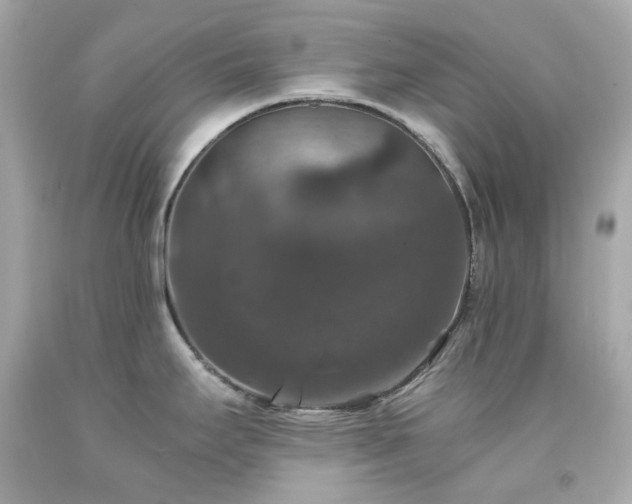 X0000091941295200709121611