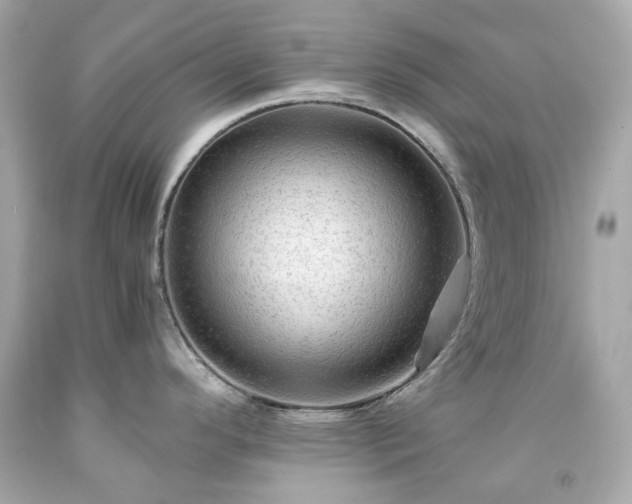 X0000091941296200709121611