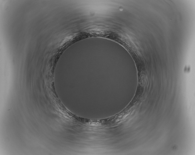 X0000091941297200709121611