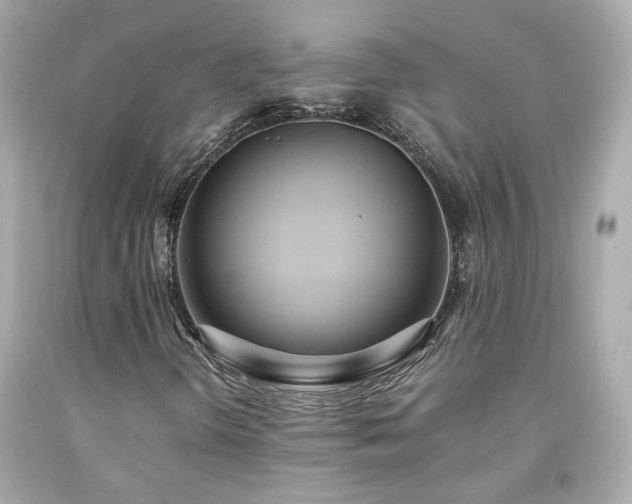 X0000091941298200709121611