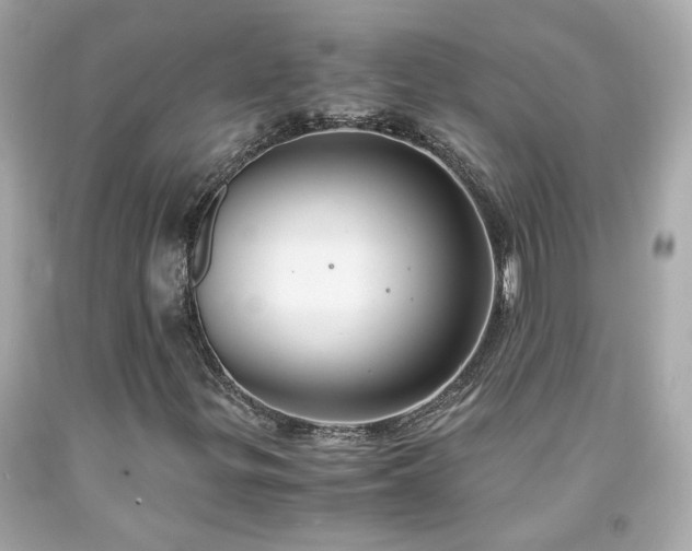 X0000091941299200709121611