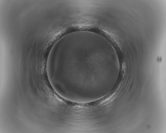 X0000091941300200709121611