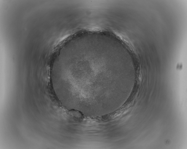 X0000091941301200709121611