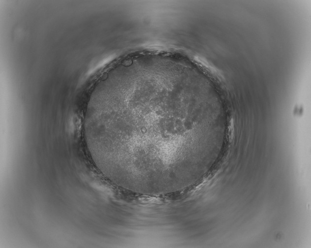 X0000091941302200709121611