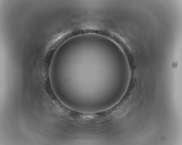 X0000091941303200709121611