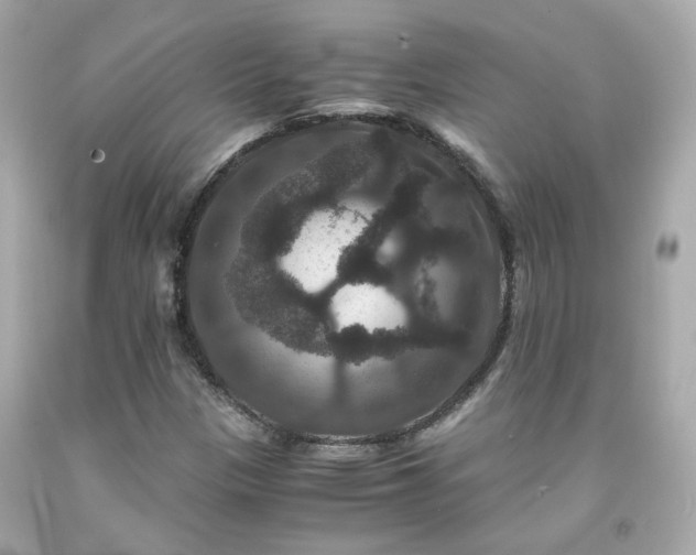 X0000091941305200709121611