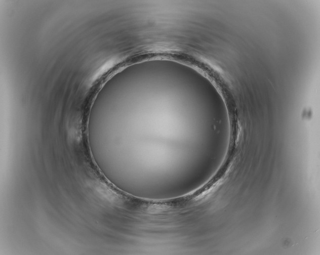 X0000091941306200709121611