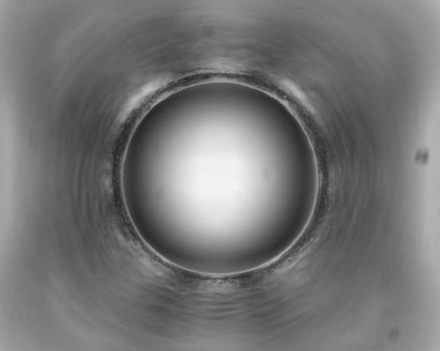 X0000091941307200709121611