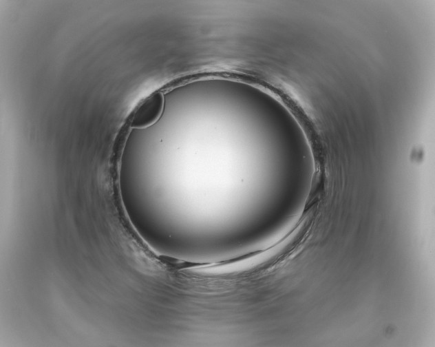 X0000091941308200709121611