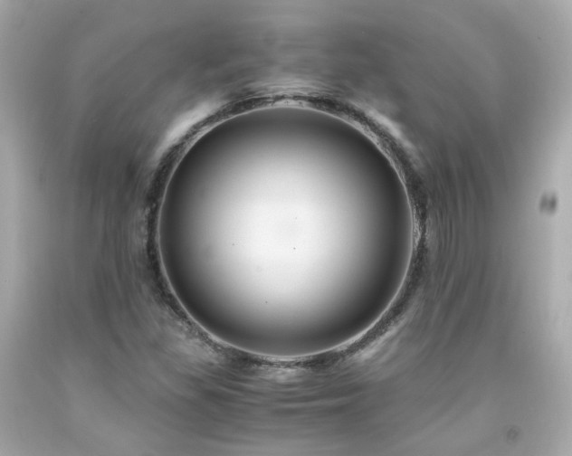 X0000091941309200709121611