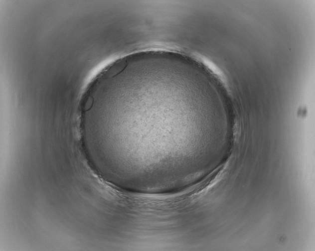 X0000091941310200709121611