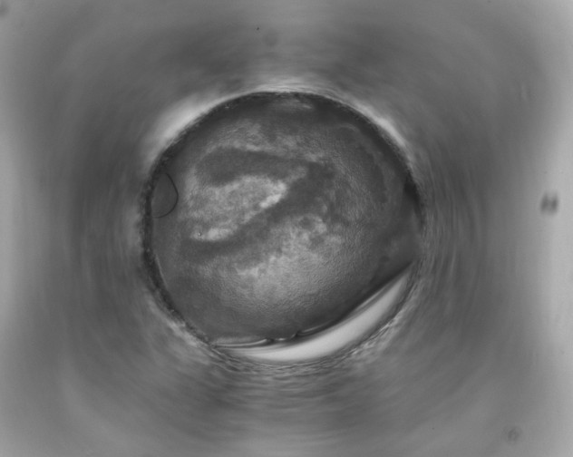 X0000091941311200709121611