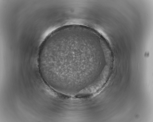 X0000091941312200709121611