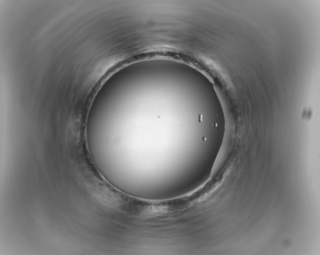 X0000091941313200709121611