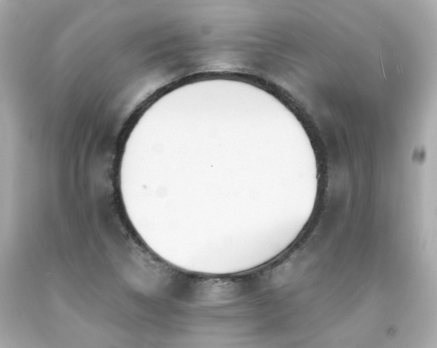 X0000091941314200709121611