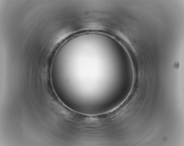 X0000091941315200709121611