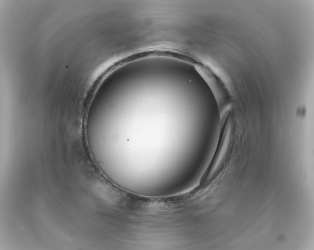 X0000091941316200709121611