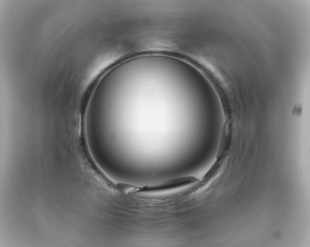 X0000091941317200709121611