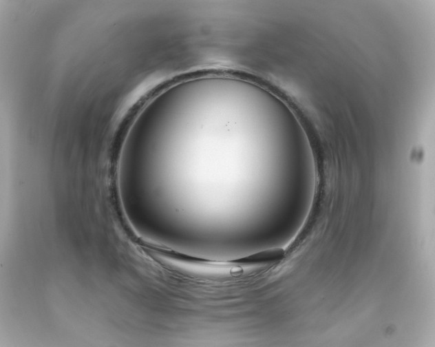 X0000091941318200709121611