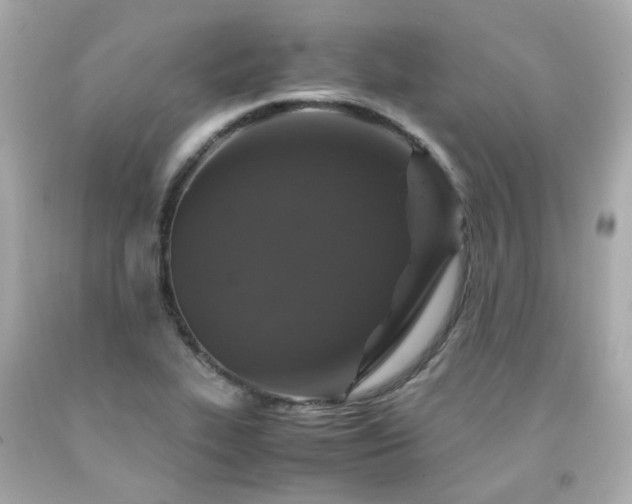 X0000091941319200709121611