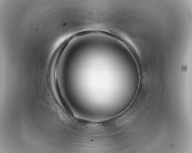 X0000091941320200709121611