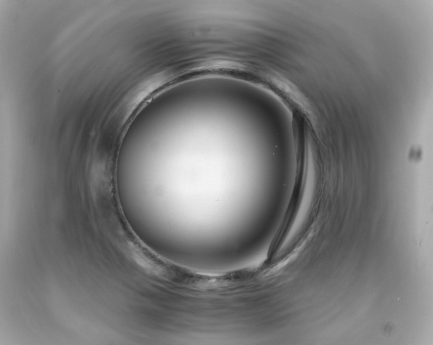 X0000091941321200709121611