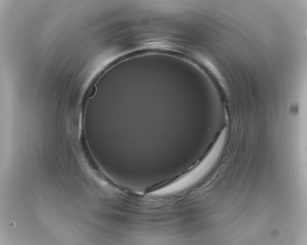 X0000091941323200709121611